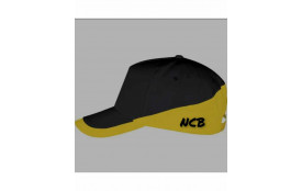 Casquette bicolore