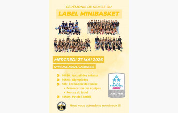 Label "Ecole Française de Mini Basket" 3 étoiles