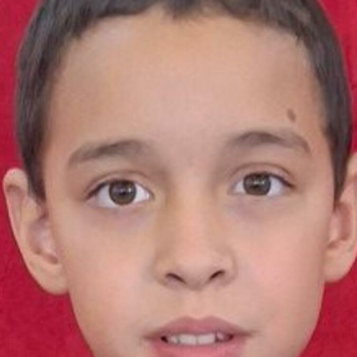 Gabriel Marchesi Dos Santod